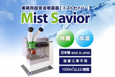 mistsavior